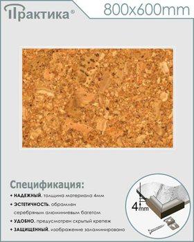 Пробковый стенд (800х600 мм, пластик ПВХ 4 мм, алюминиевый багет серебряного цвета) - Стенды - Информационные стенды - Магазин охраны труда Протекторшоп